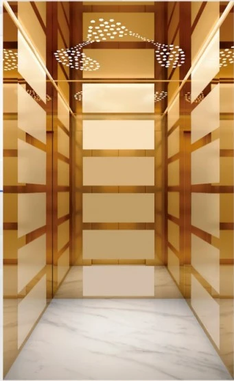 Townhouse Elevator